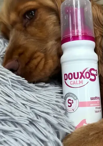 Douxo S3 Pyo Shampoo