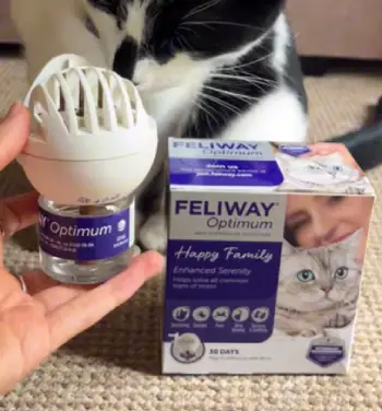 Feliway