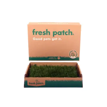 Fresh Patch