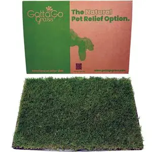 Gotta Go Grass