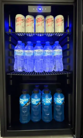 Simzlife Mini Fridge