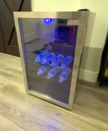 Simzlife Mini Fridge