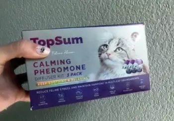 Topsum
