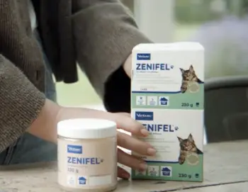 Zenifel