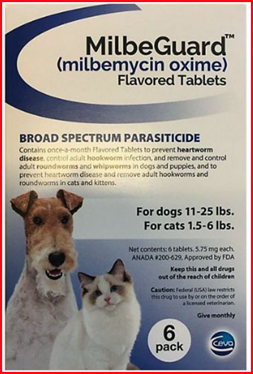 MilbeGuard Vs Interceptor Plus