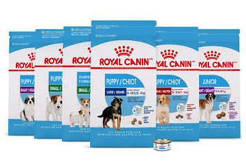 Royal Canin