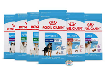Royal Canin