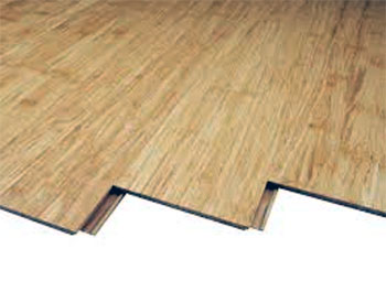 Teragren Bamboo Flooring