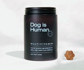 Dog Is Human