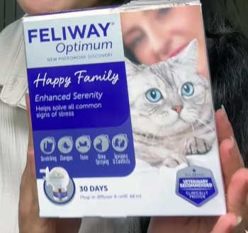 Feliway Optimum