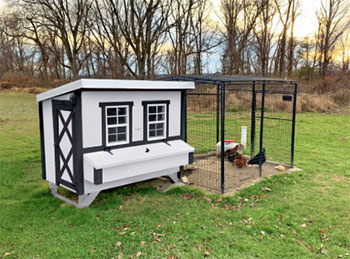 OverEZ Chicken Coop