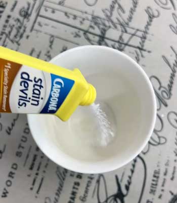 Carbona Stain Remover