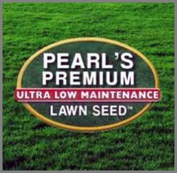 Pearl's Premium Grass Seed