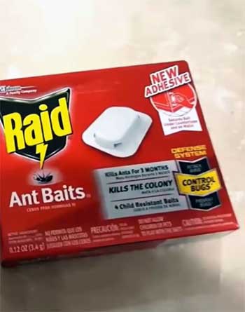 Raid Ant Bait Stations