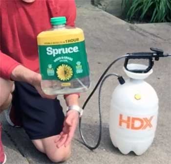 Spruce Weed & Grass Killer