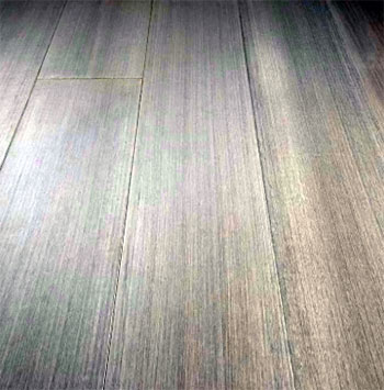 Teragren Bamboo Flooring