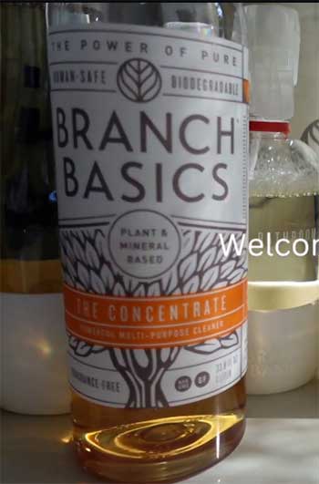 Branch Basics