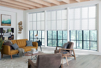 3 Day Blinds