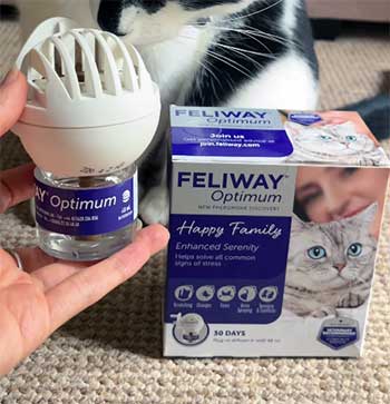 Feliway Optimum