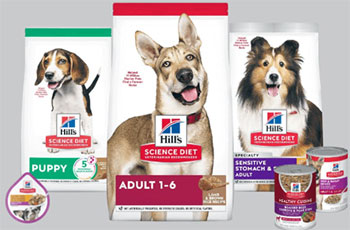 Science Diet Dog Food