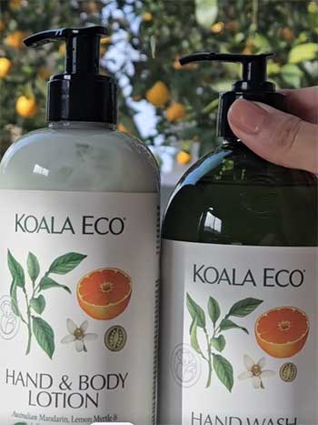 Koala Eco