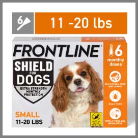Frontline Shield