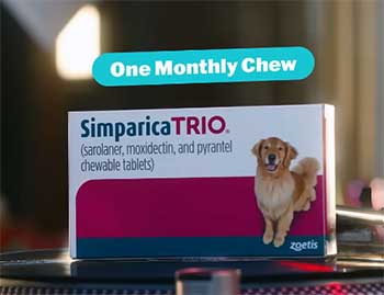 Simparica Trio