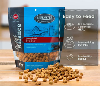 Muenster Dog Food
