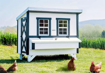 OverEZ Chicken Coop