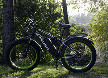 Philodo Electric Bike