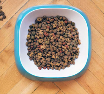 Acana Puppy Food
