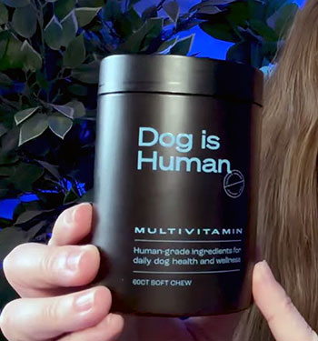 Dog Is Human