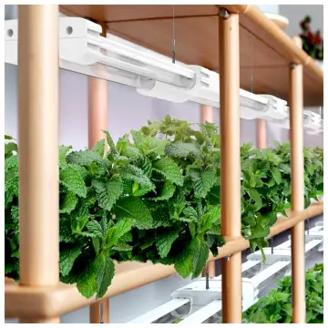 Boostgro LED Grow Light 