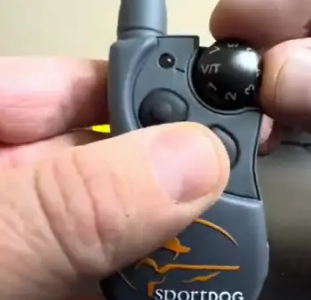 Sportdog Shock Collar