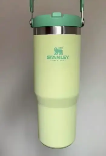 Stanley Iceflow Tumbler Flip Straw 
