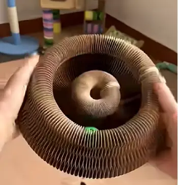 Twisty Paws Cat Toy