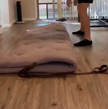 Zonli Floor Mattress 