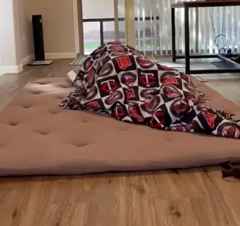 Zonli Floor Mattress