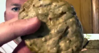 Amylu Maple Chicken Patties