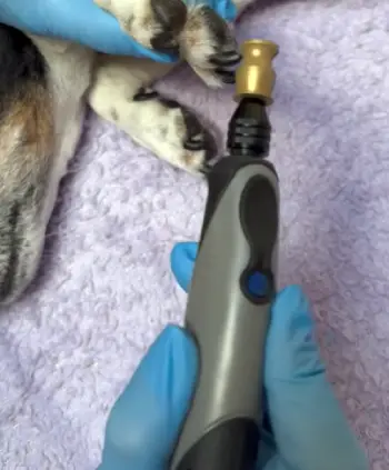 Dremel Dog Nail Grinder 