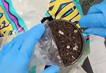 Foxfarm Ocean Forest Potting Soil 