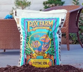 Foxfarm Ocean Forest Potting Soil 