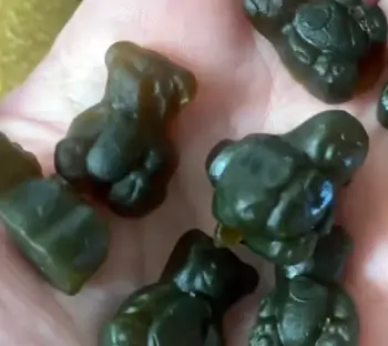 Grüns Daily Gummies