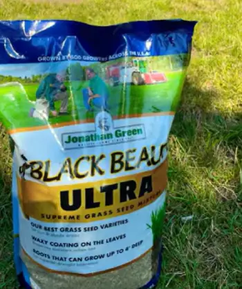 Jonathan Green Black Beauty Ultra Grass Seed 