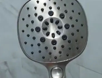 Kohler Tellin Shower Head