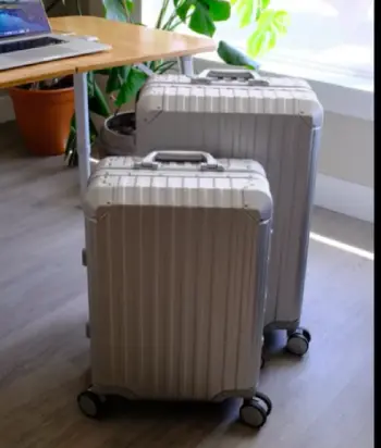 max studio luggage 