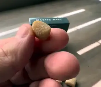 Nathan And Sons Underbrush Gum 