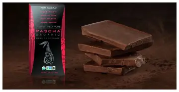 Pascha Organic Dark Chocolate Bar 