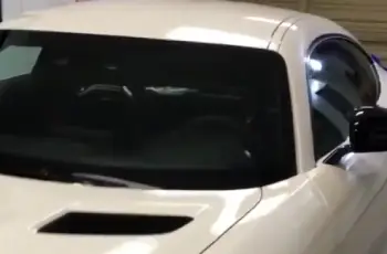 Rayno Window Film 