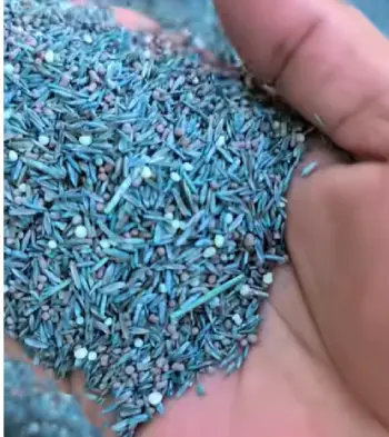  Scotts Grass Seed